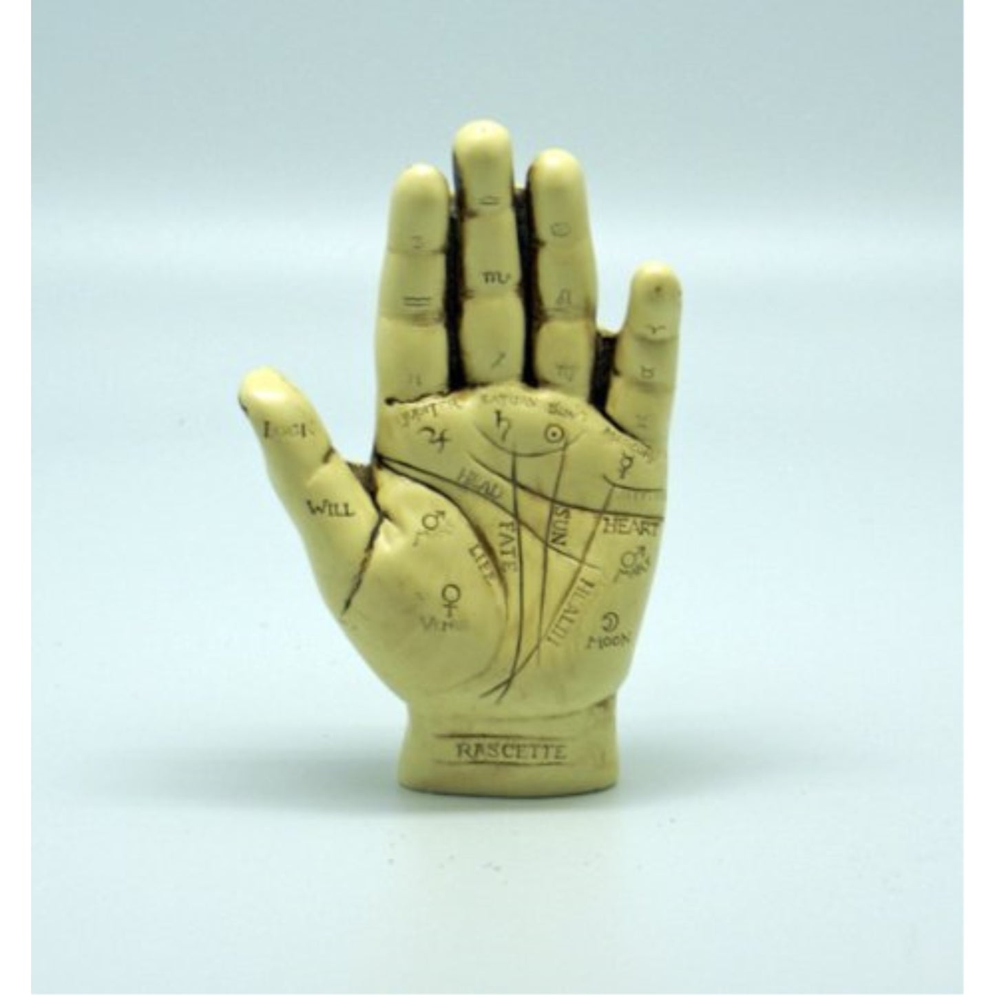 Fantasy Gifts The Palmistry Hand Kit with Complete Instructional Booklet 5.25 inches tall