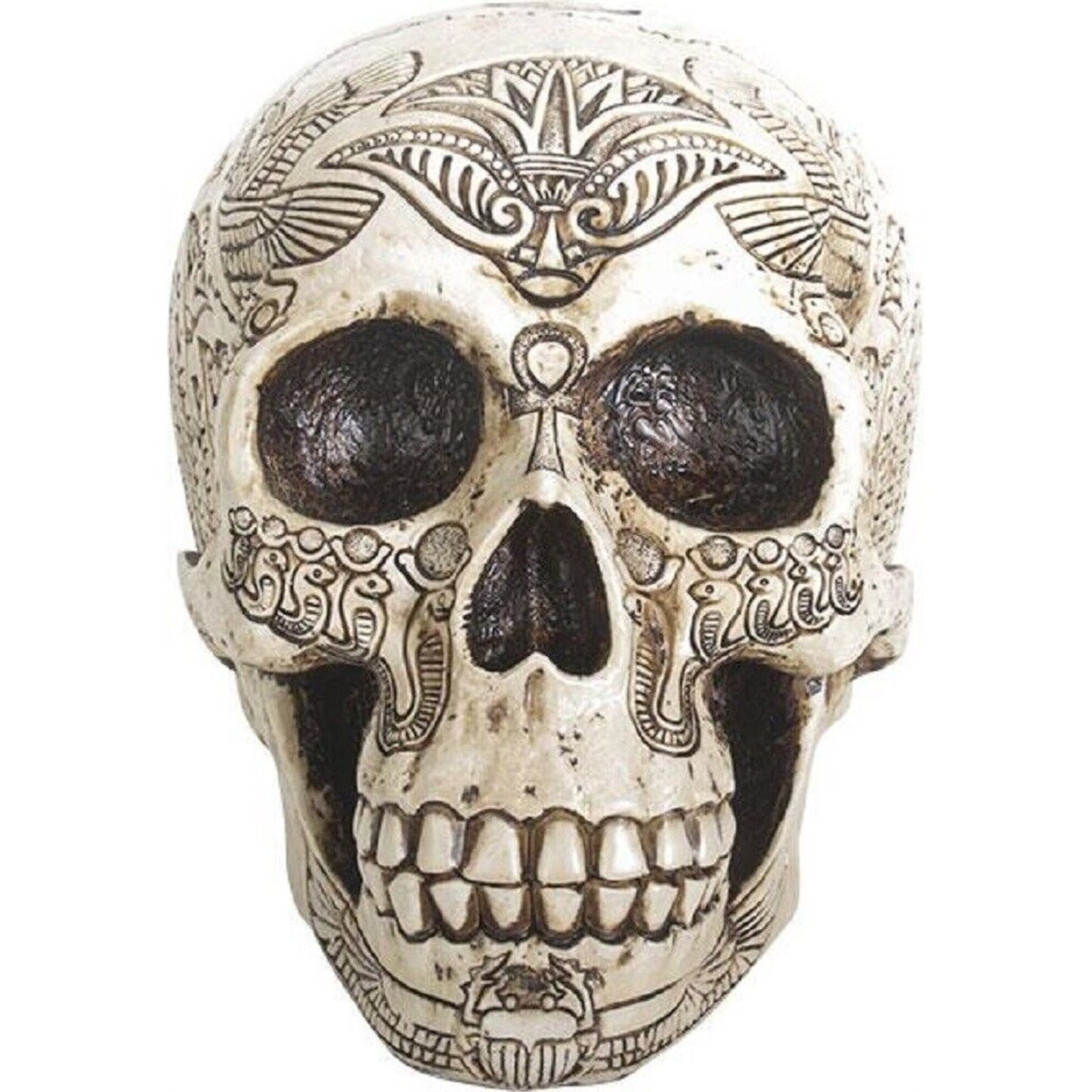 Ancient Egypt Human Skull Etched with Egyptian Symbols Figurine Skeleton 6 inch