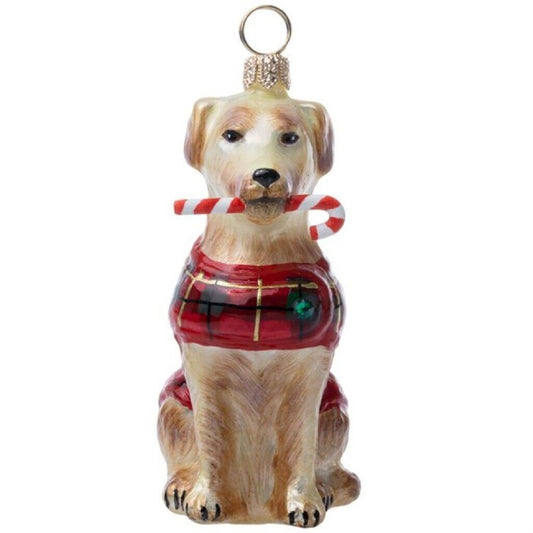 Joy To The World Yellow Lab with Candy Cane and Plaid Coat Polish Glass Ornament