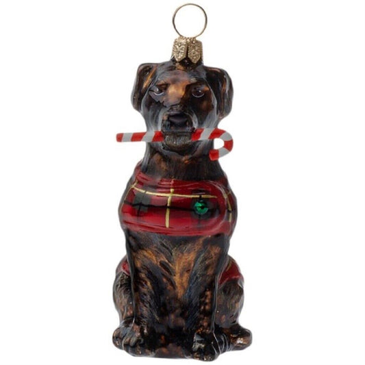 Joy To The World Chocolate Lab with Candy Cane and Coat Polish Glass Ornament