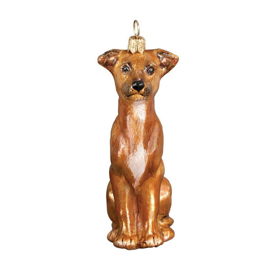 Joy to the World Italian Greyhound Sitting Dog Polish Blown Glass Christmas Ornament