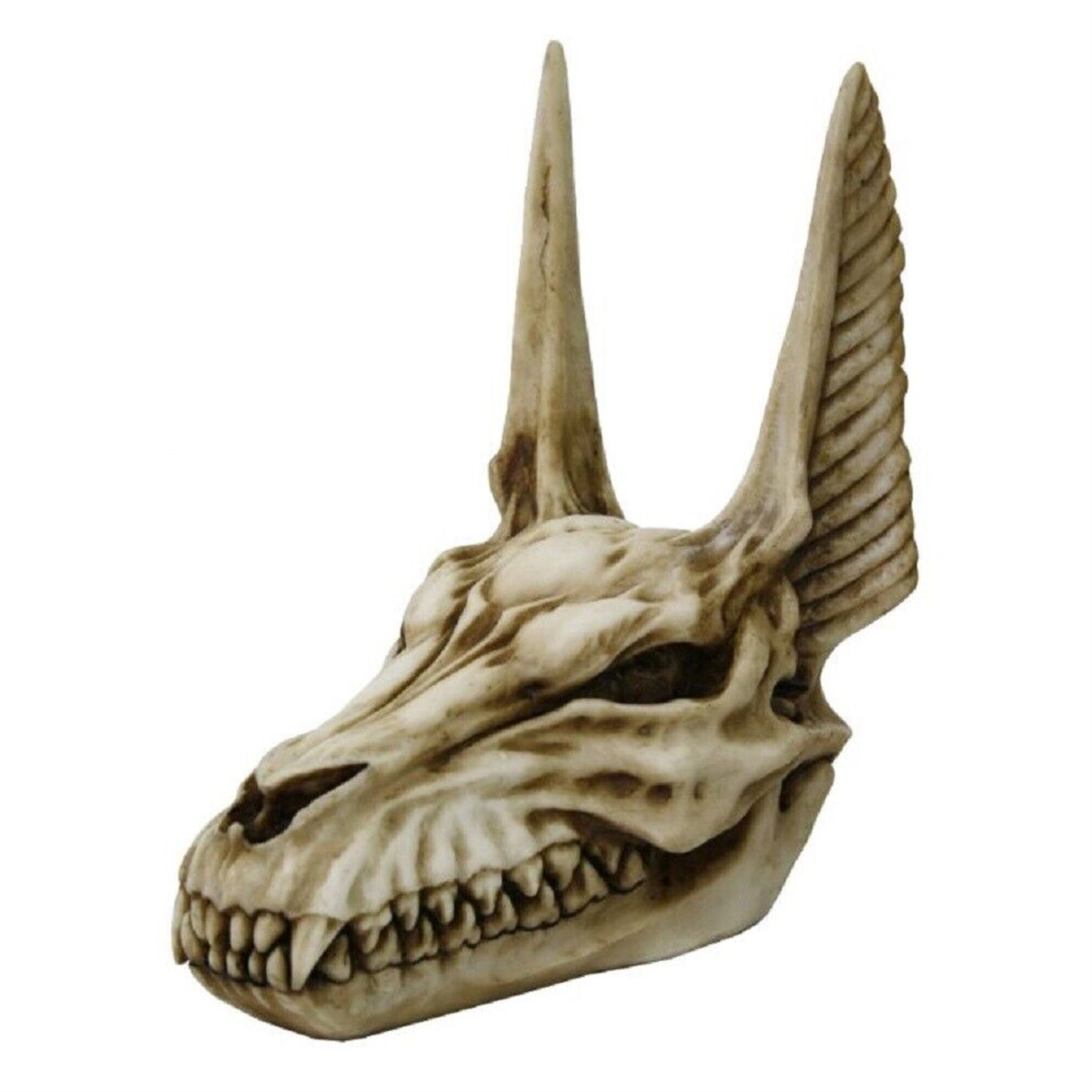 Egyptian God Anubis Skull Figurine Egypt Home Decoration 7 x 4.5 inch