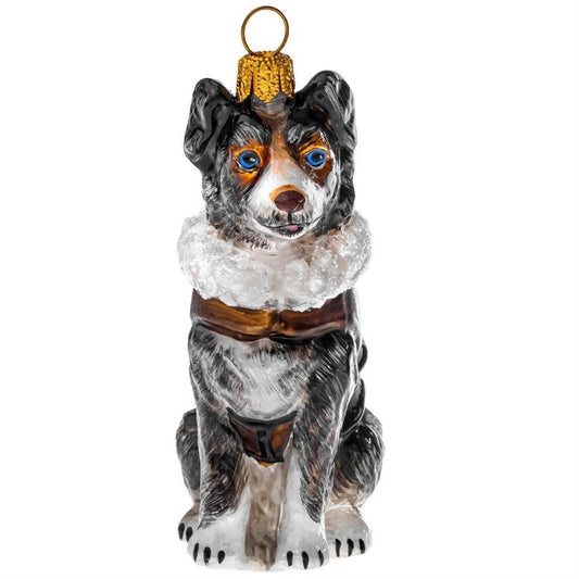 Joy to the World Blue Merle Australian Shepherd in Aussie Bomber Jacket Polish Glass Ornament