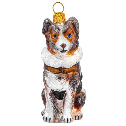 Joy to the World Red Merle Australian Shepherd Aviation Bomber Polish Glass Christmas Ornament