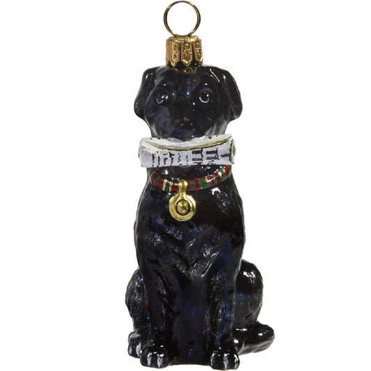 Joy to the World Black Labrador Retriever With Newspaper Polish Glass Christmas Ornament Lab Dog