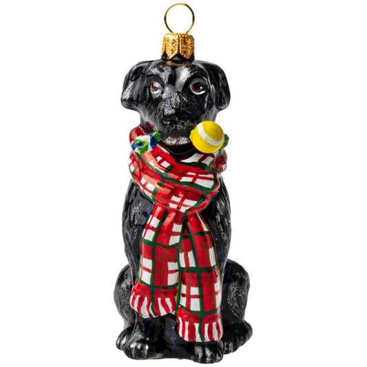 Joy to the World Black Lab with Bushy Scarf and Chew Toy Polish Glass Ornament