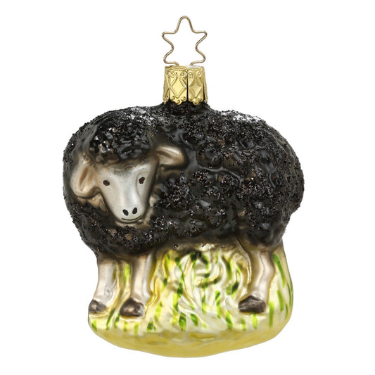 Inge Glas The Black Sheep German Glass Christmas Tree Ornament FREE BOX