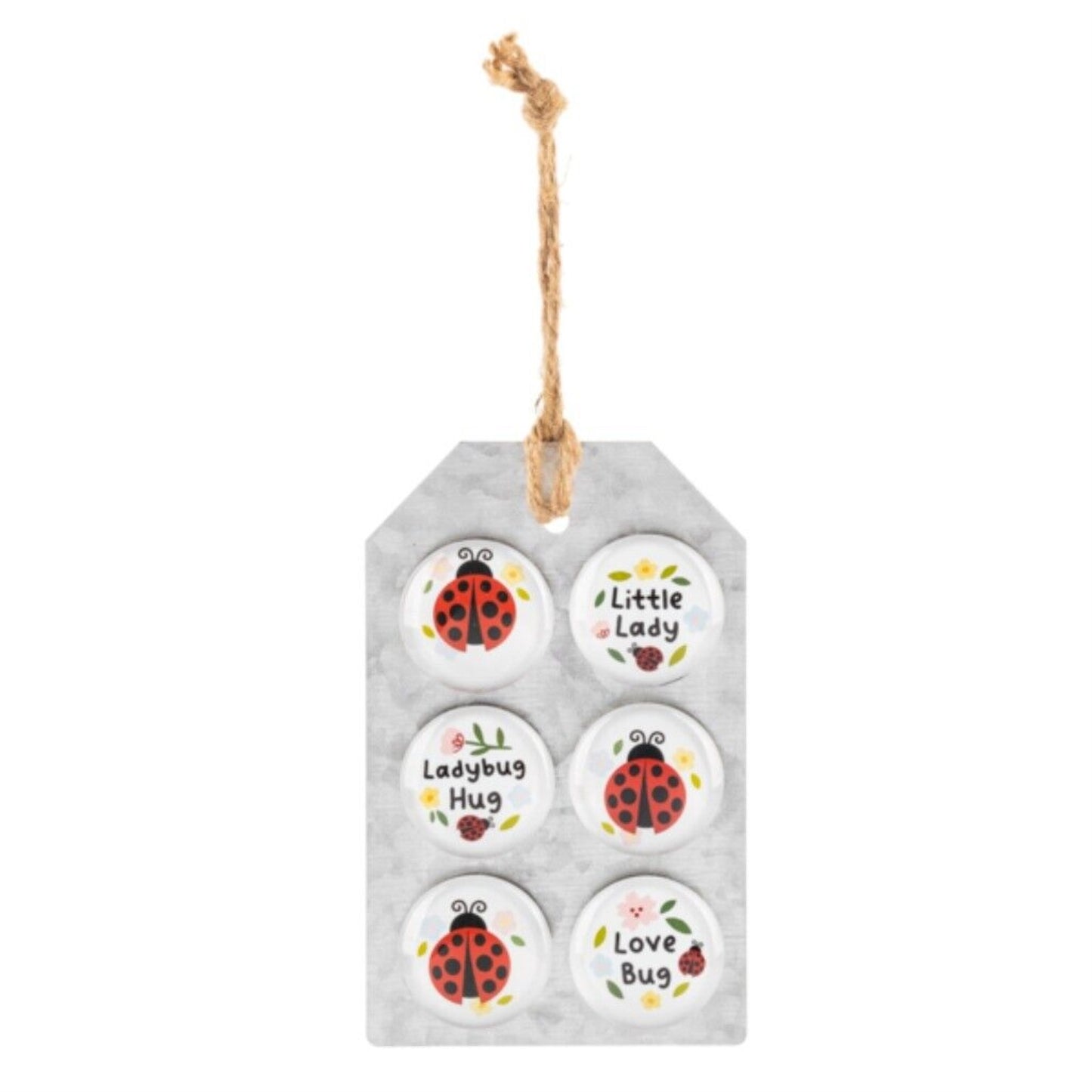 Ganz Ladybug and Text White Glass Magnets 6 Piece Set