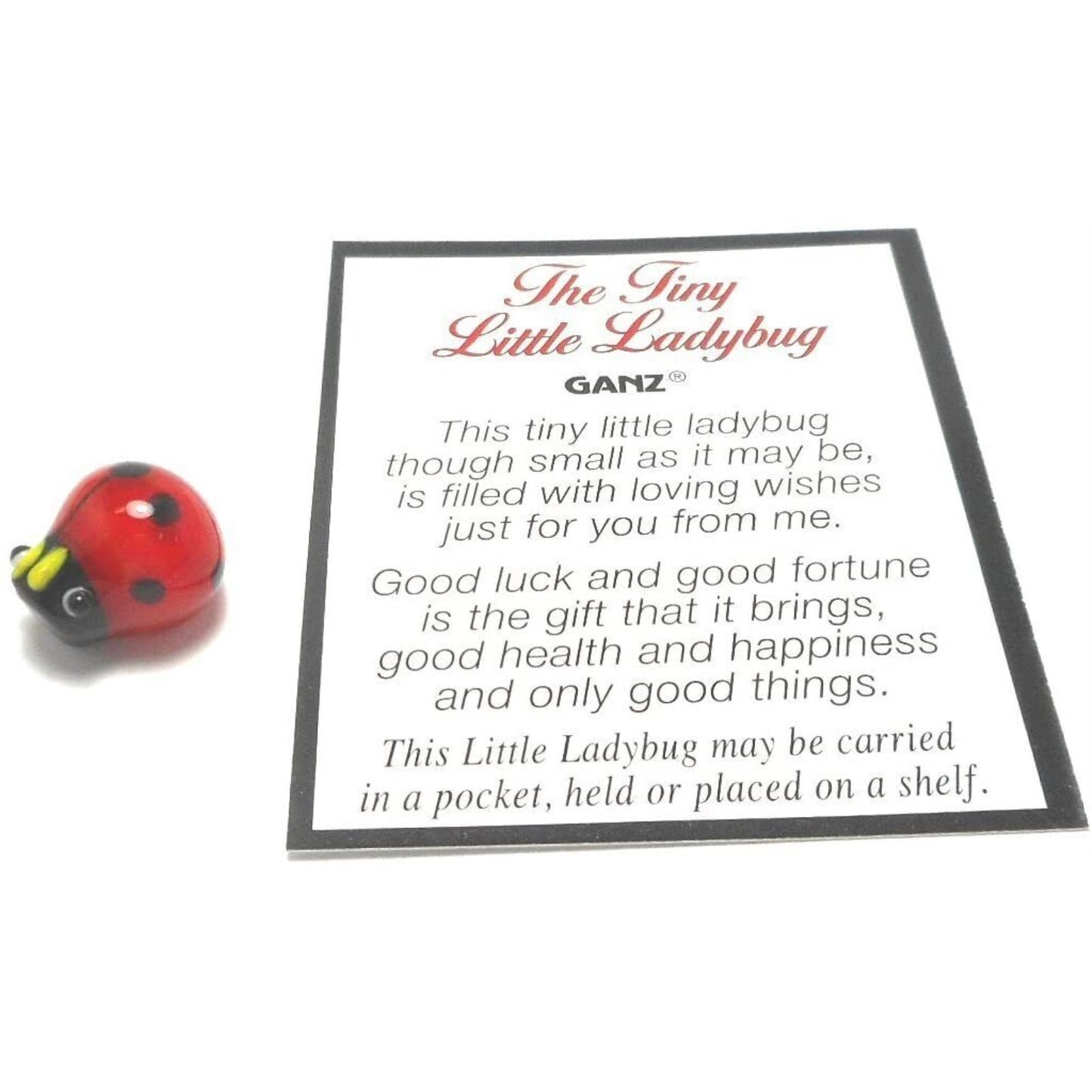 Tiny Little Ladybug Glass Charm with Story Card Pocket Token Miniature .5 inch