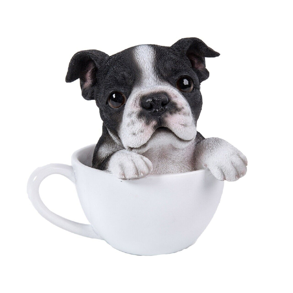 Boston Terrier Tea Cup Pups Dog Figurine 5.7 inch Black and White