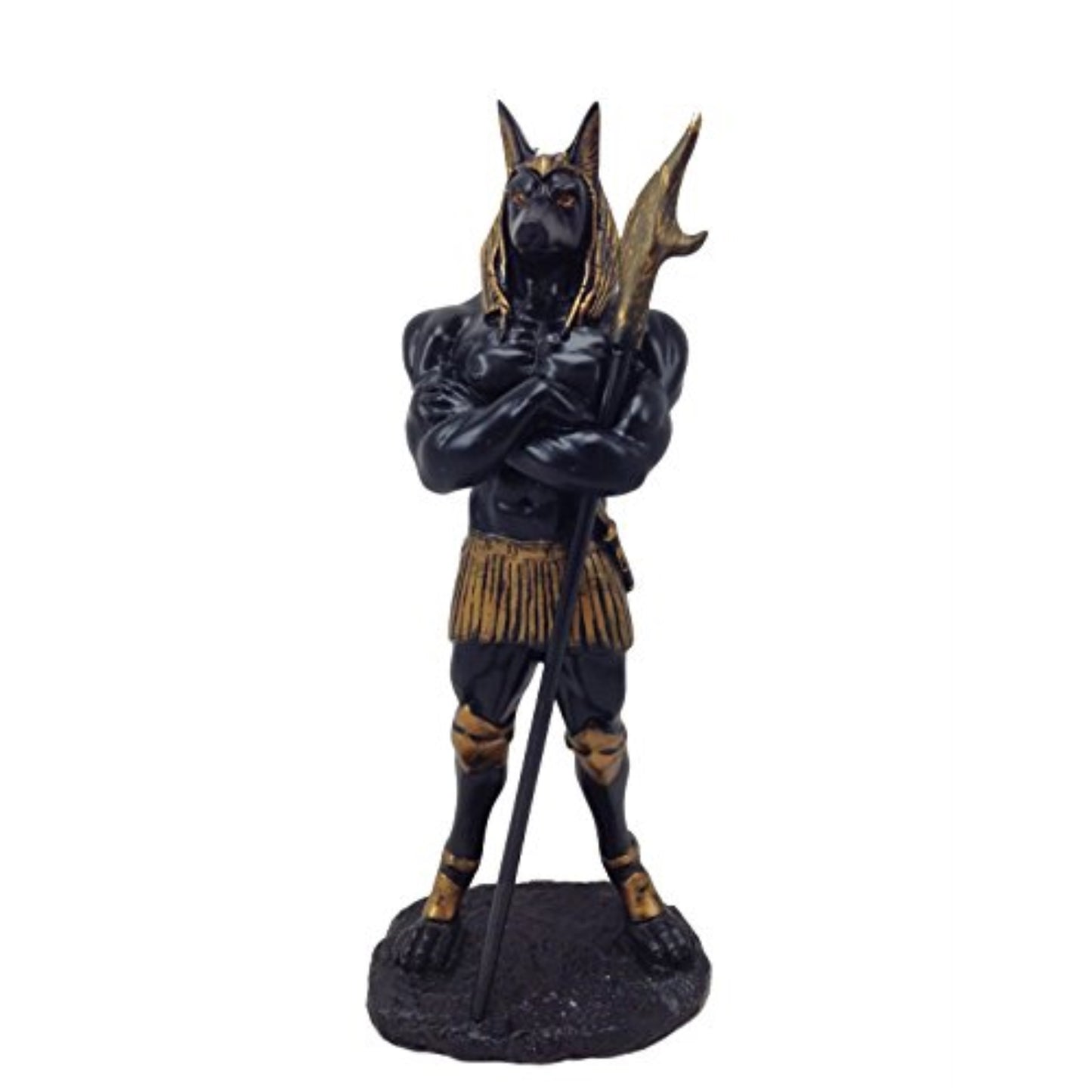 Anubis Egyptian God of the Afterlife Jackal Statue Resin Egypt Figurine 11 inch