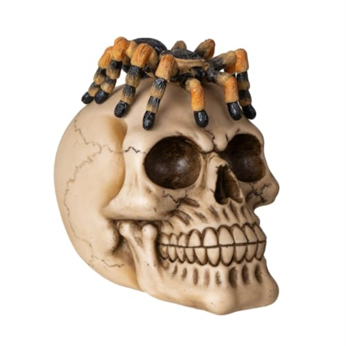 Spider on Human Skull Figurine Detailed Gothic Skeleton and Spider Design Ideal for Halloween Decor 5.5 inch