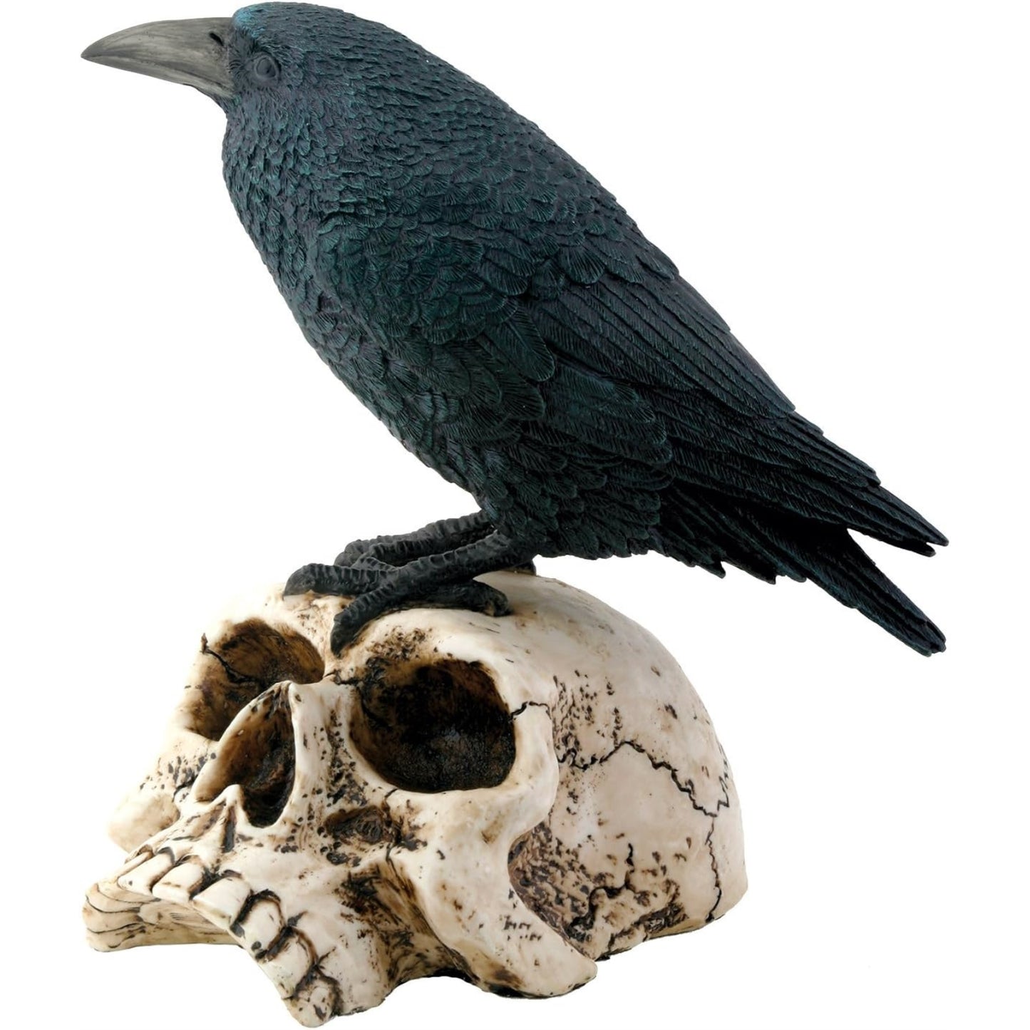 Gothic Raven Perching On Skull Statue Figurine 7.25 inch