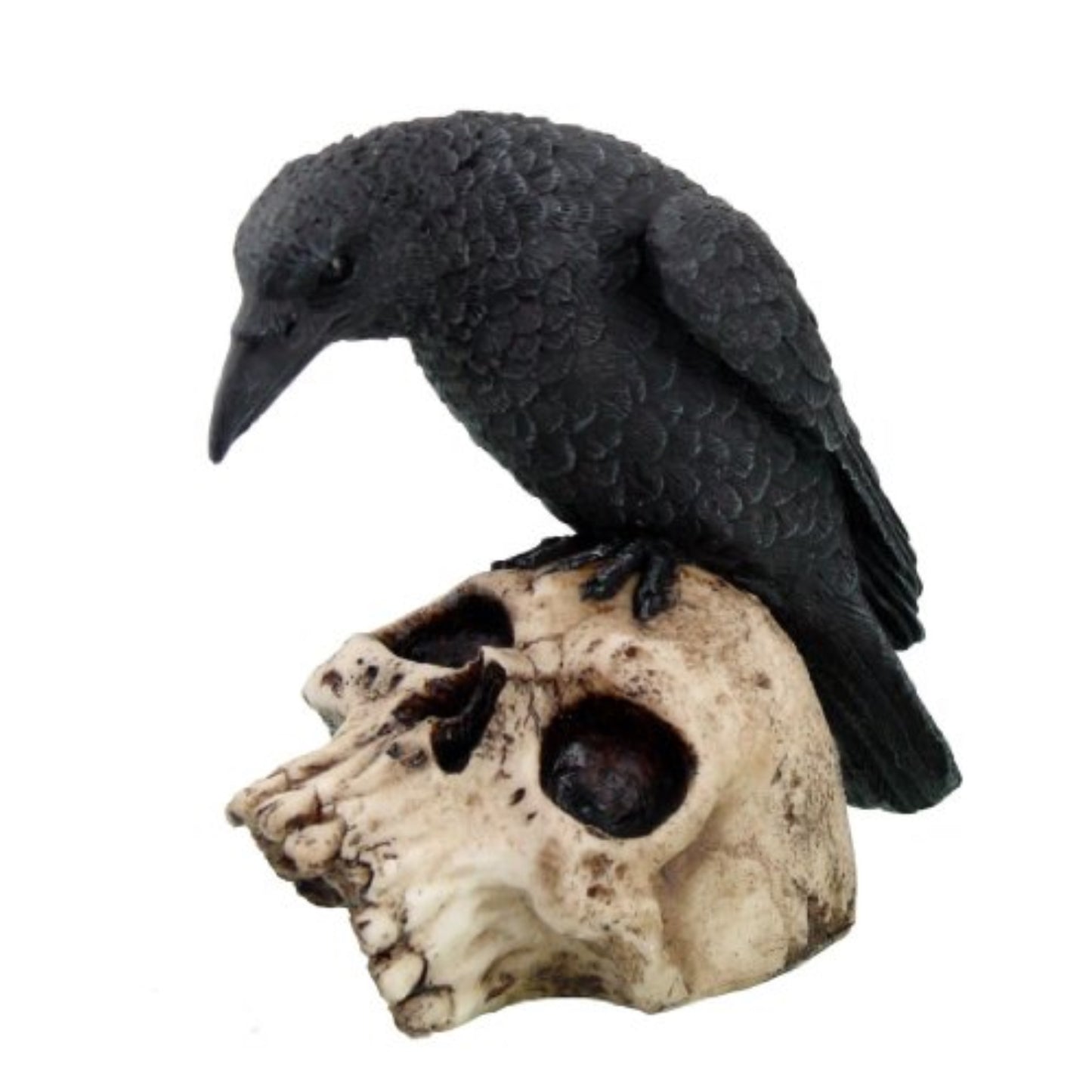 Halloween Black Raven on Skeleton Skull Statue Figurine 5 inch