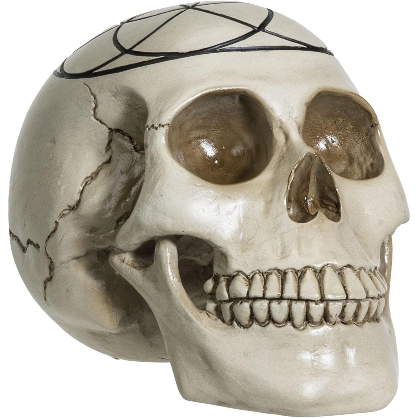 Sacred Geometry Seed of Life Human Skull Figurine 6.25 inch