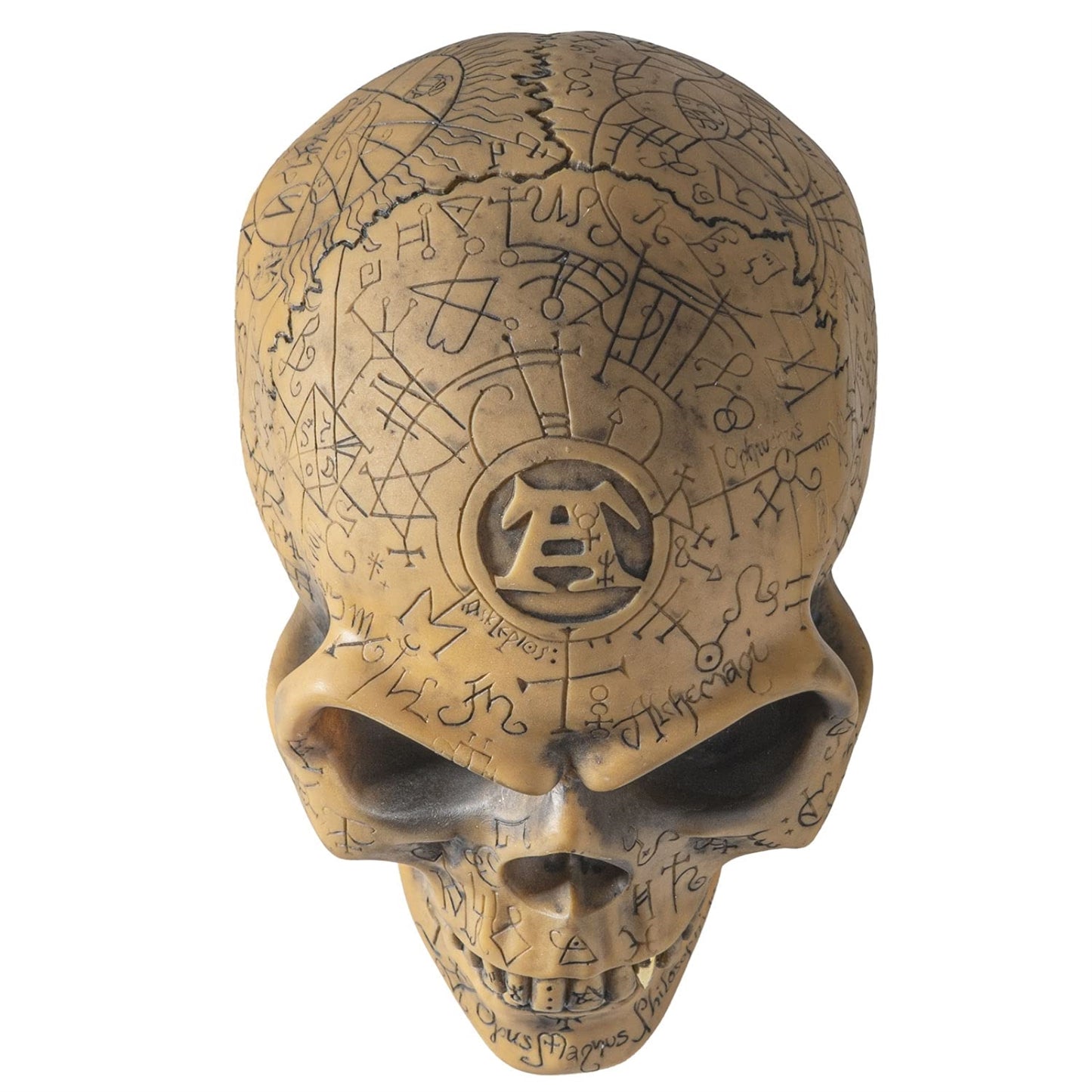 Alchemist's Omega Human Skull Figurine Sculpture Home Decor 6 x 7 inch