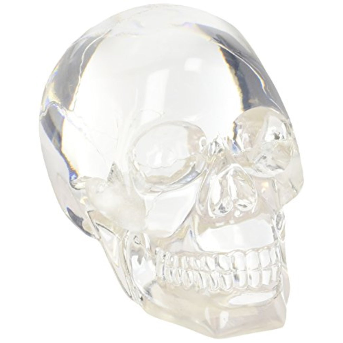 Clear Translucent Skull Collectible Figurine 4.5 inch