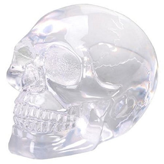 Small Translucent Skull Figurine 3 inch