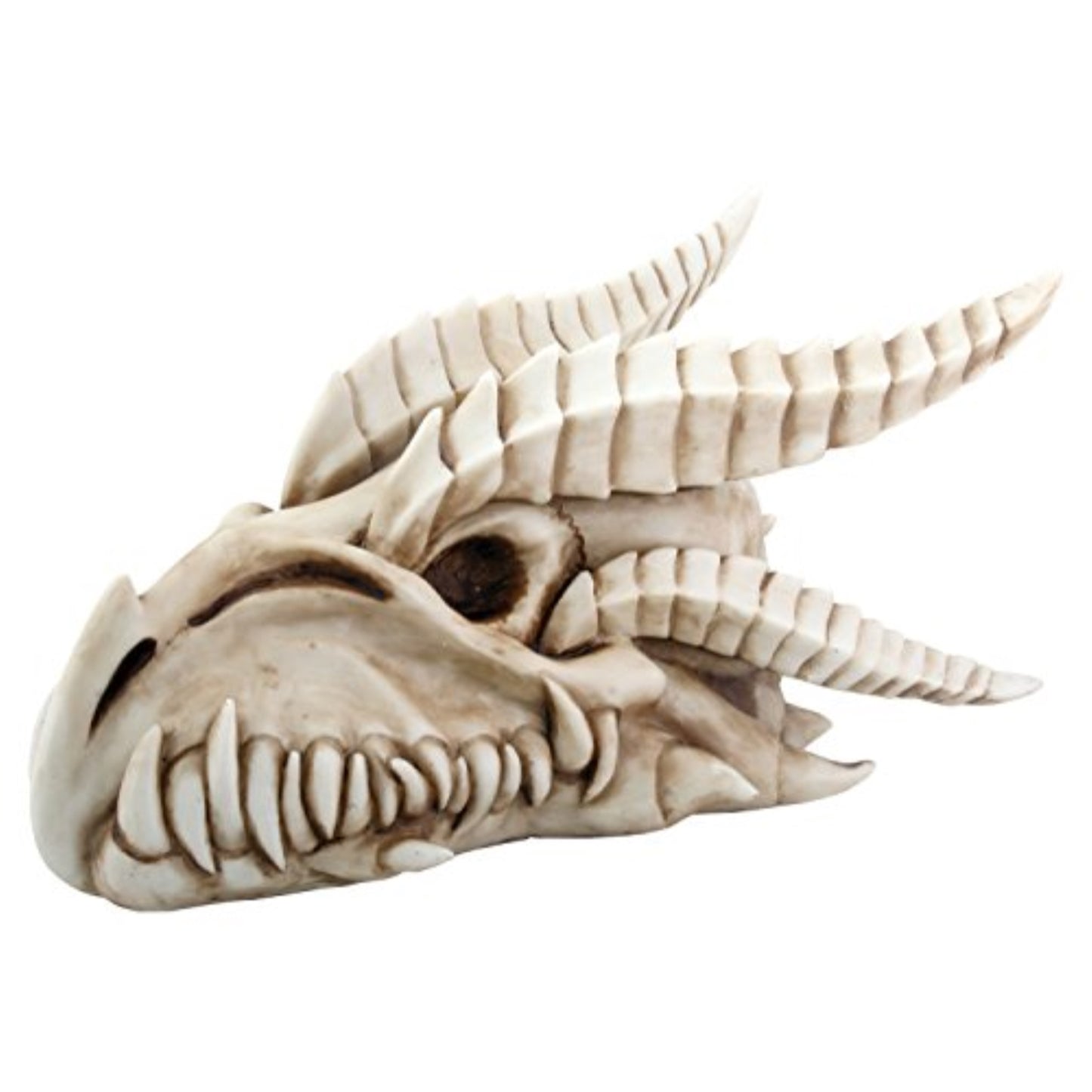 Small Dragon Skull with Horns Figurine Statuette 8.5 inches Long