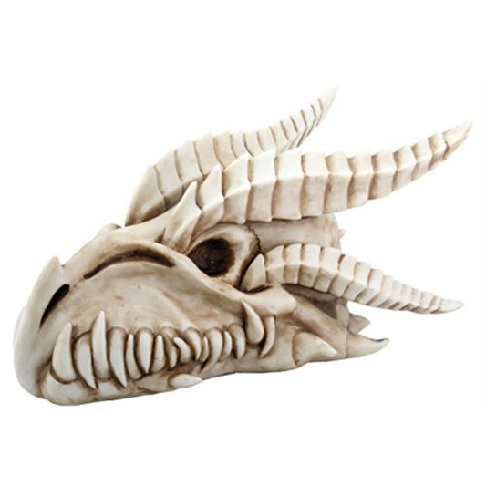 Small Dragon Skull with Horns Figurine Statuette 8.5 inches Long