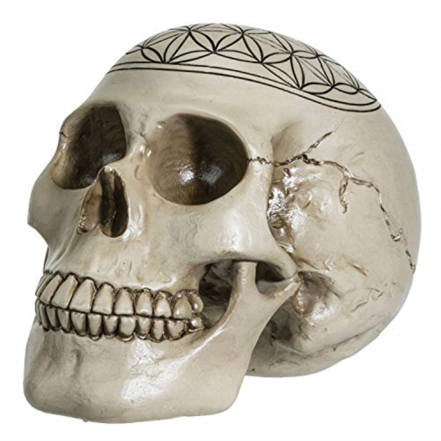 Sacred Geometry Flower of Life Human Skull Figurine 6.25 inches