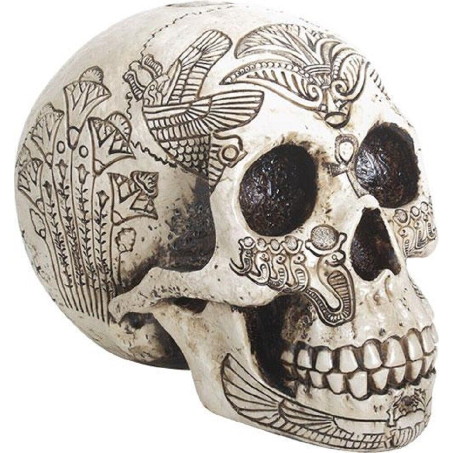 Ancient Egypt Human Skull Etched with Egyptian Symbols Figurine Skeleton 6 inch