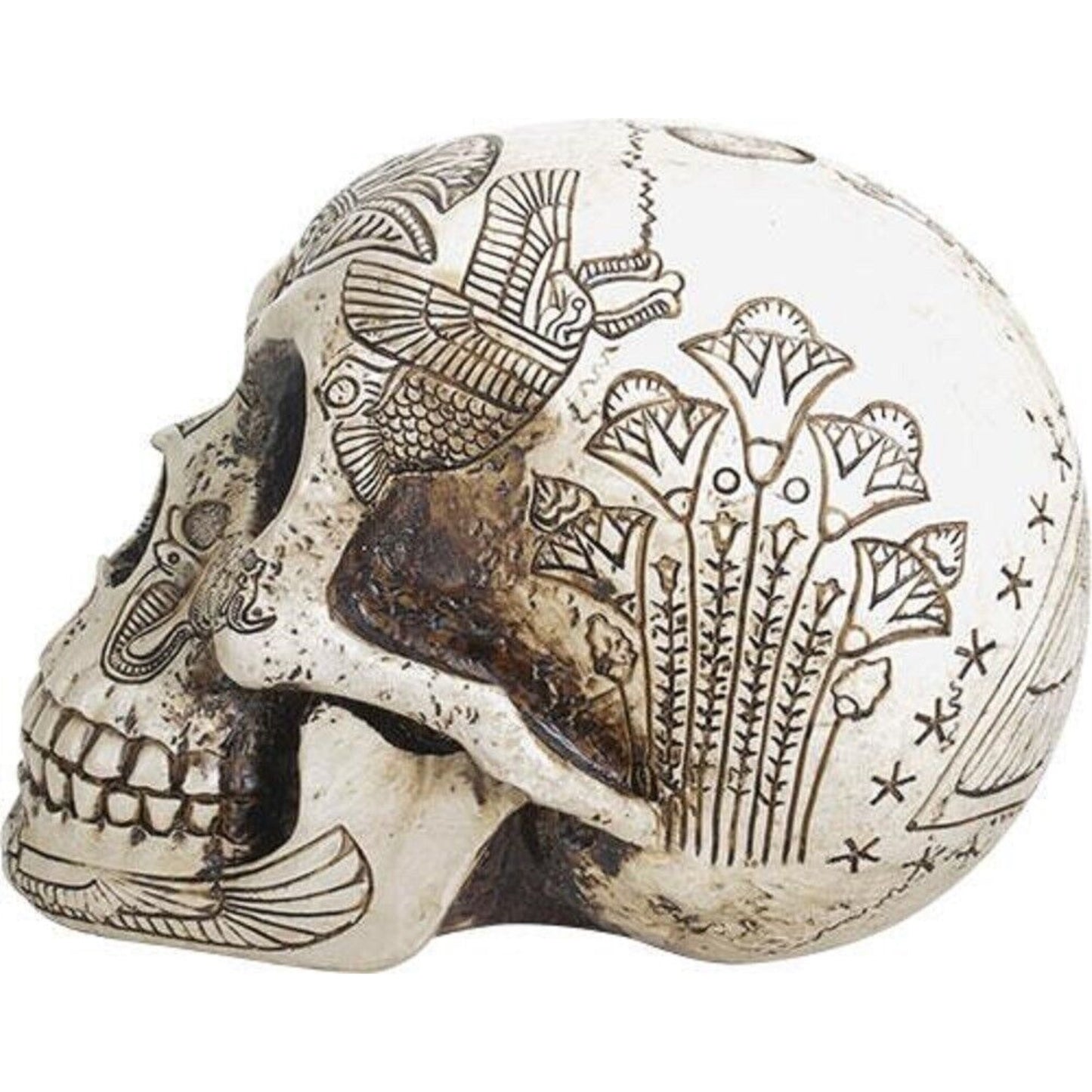 Ancient Egypt Human Skull Etched with Egyptian Symbols Figurine Skeleton 6 inch