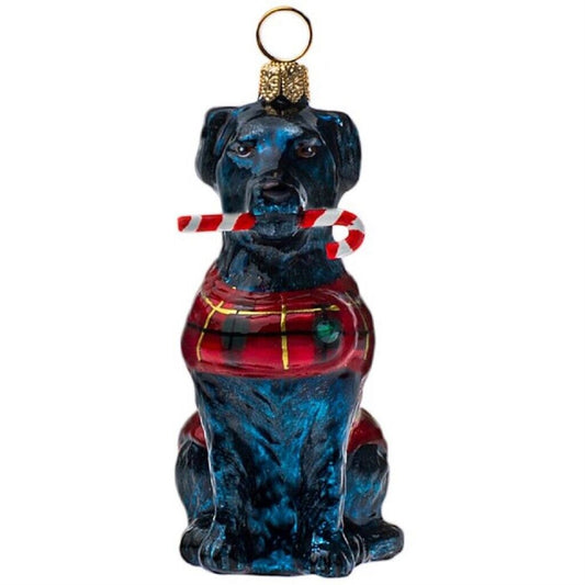 Joy To The World Black Lab with Candy Cane and Plaid Coat Polish Glass Ornament