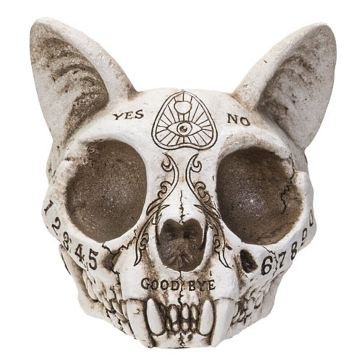 Faux Taxidermy Full Cat Skull Ashtray with Carved Ouija Detailing 3.5 inches Tall