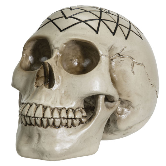Sacred Geometry Yantra Human Skull Figurine 6.25 inch