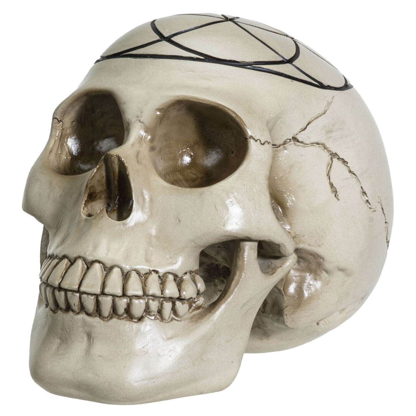 Sacred Geometry Seed of Life Human Skull Figurine 6.25 inch