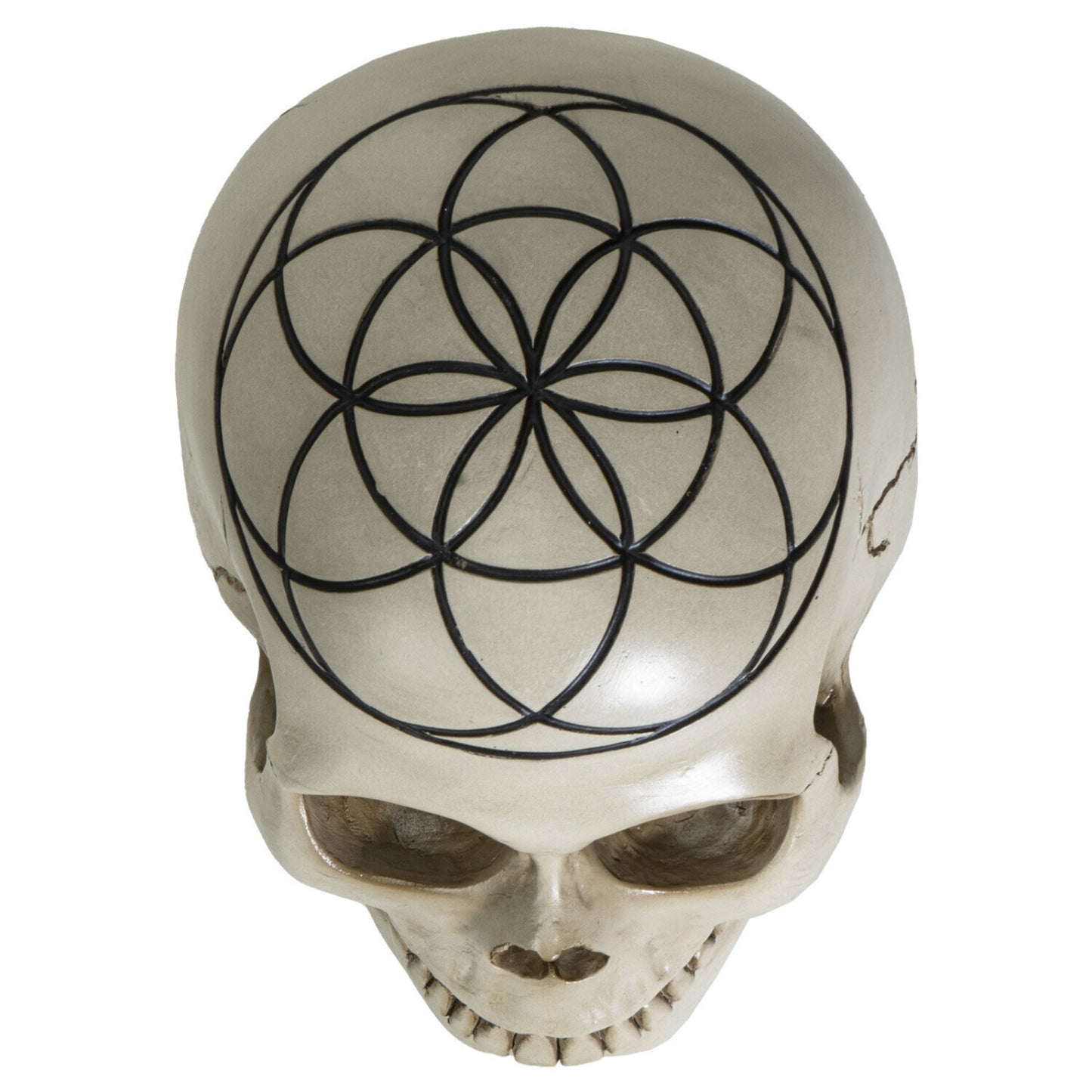 Sacred Geometry Seed of Life Human Skull Figurine 6.25 inch
