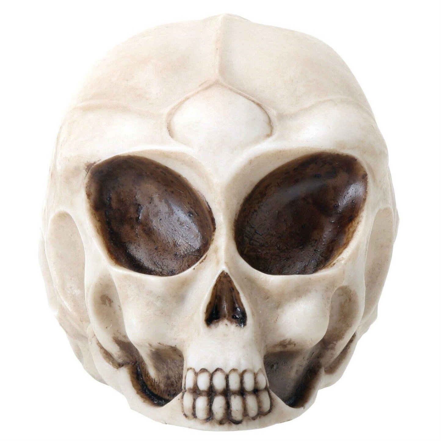 Small White Alien Skull Mini Figurine Extraterrestrial Outer Space Miniature 3 inch