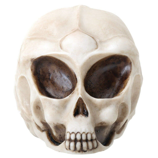Small White Alien Skull Mini Figurine Extraterrestrial Outer Space Miniature 3 inch