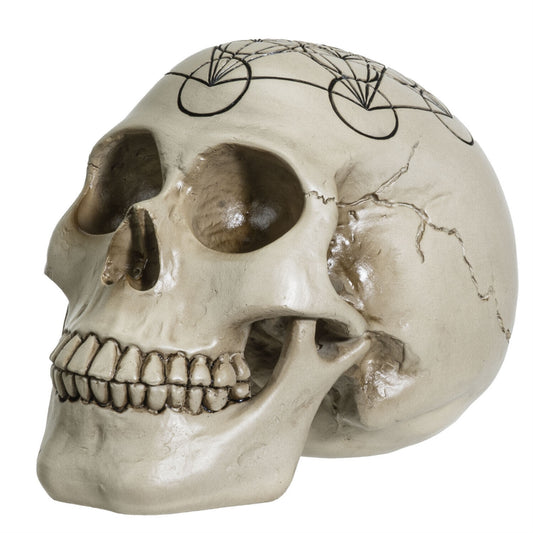 Sacred Geometry Metatrons Cube Human Skull Figurine 6.25 inch