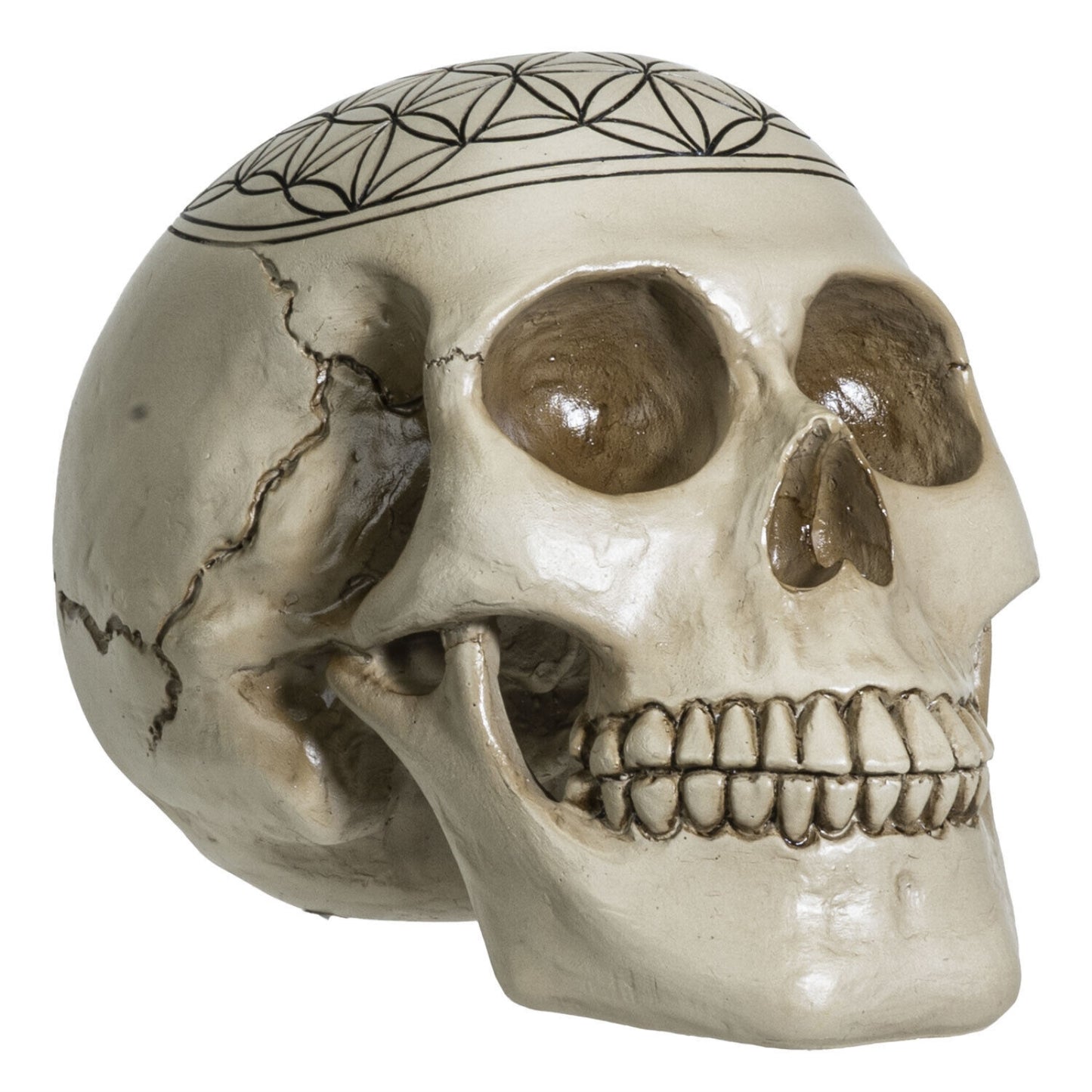 Sacred Geometry Flower of Life Human Skull Figurine 6.25 inches