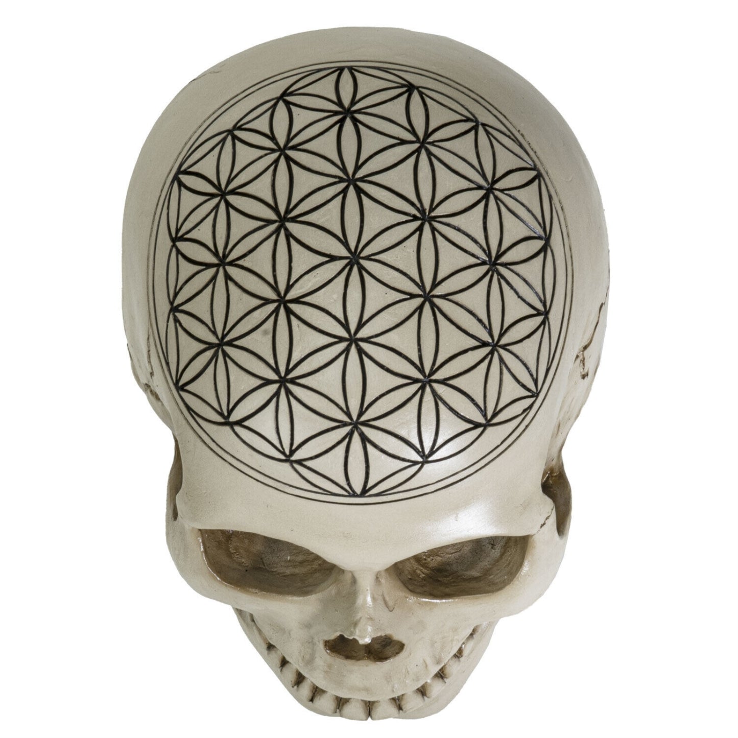 Sacred Geometry Flower of Life Human Skull Figurine 6.25 inches