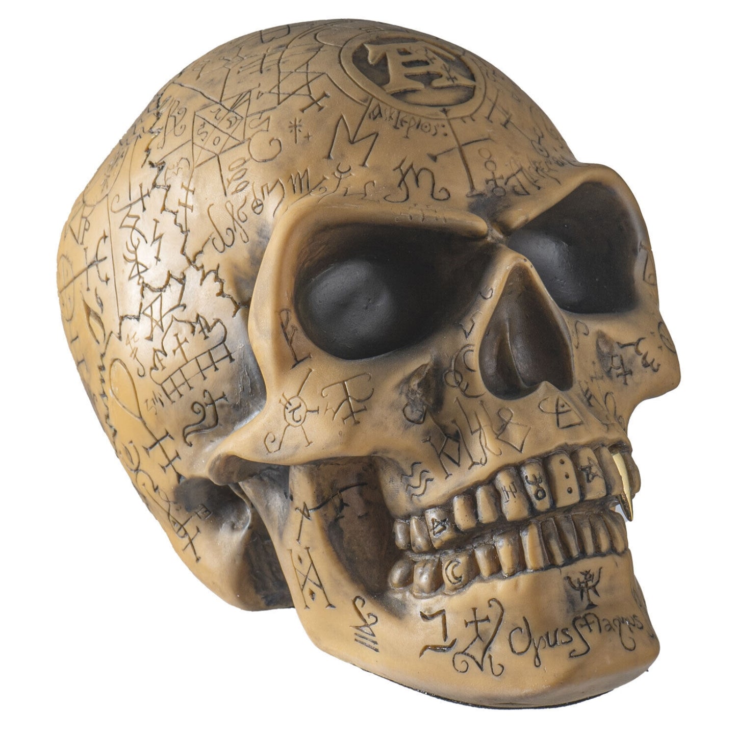 Alchemist's Omega Human Skull Figurine Sculpture Home Decor 6 x 7 inch