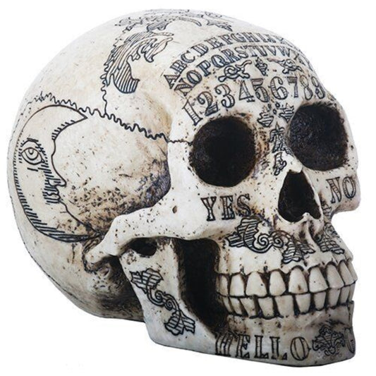 Paranormal Skull Head with Ouija Symbols Collectible Figurine 6.25 inch