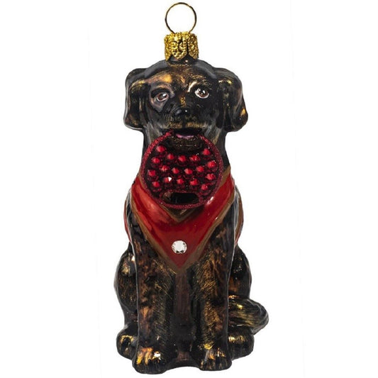 Joy to the World Chocolate Lab with Crystal Fetching Disc Polish Dog Ornament Labrador Retriever