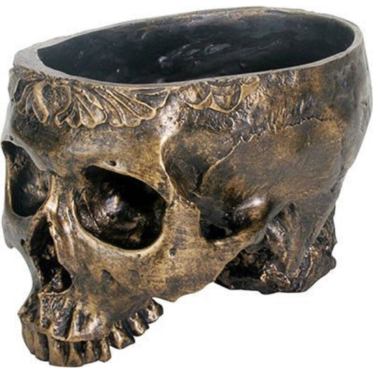 Human Skeleton Skull Planter Plant Pot Figurine 4.5 x 7 inch