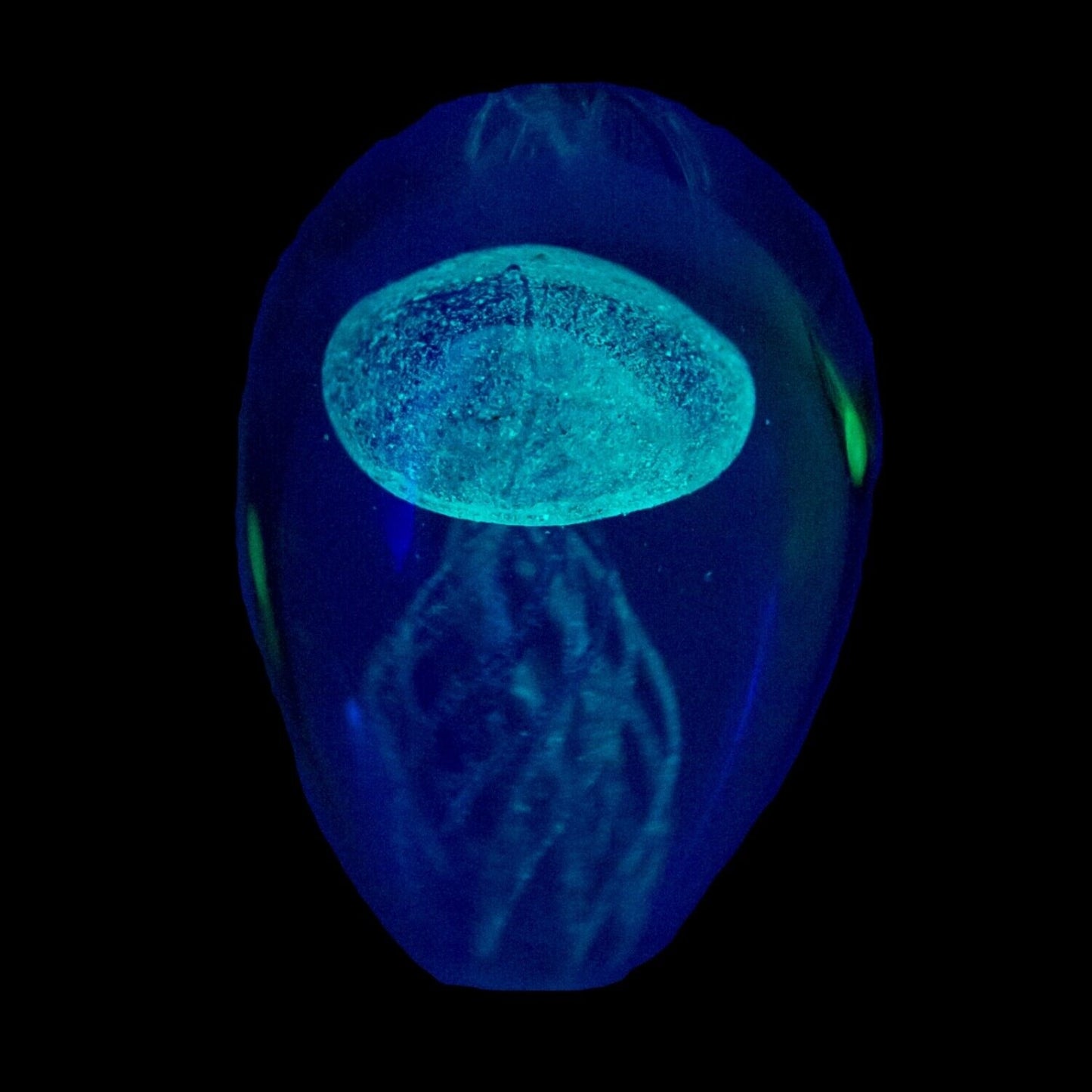 Beachcombers Clear White Glow in the Dark Glass Jellyfish Paperweight Decoration 5.5 Inch Tall
