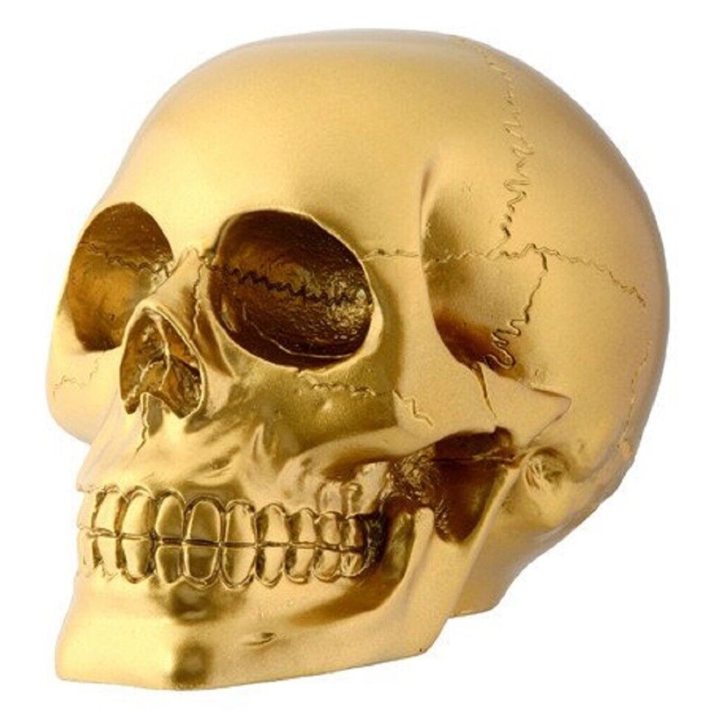 Pirate's Loot Gold Skull Statue Halloween Resin Figurine 4.5 inch