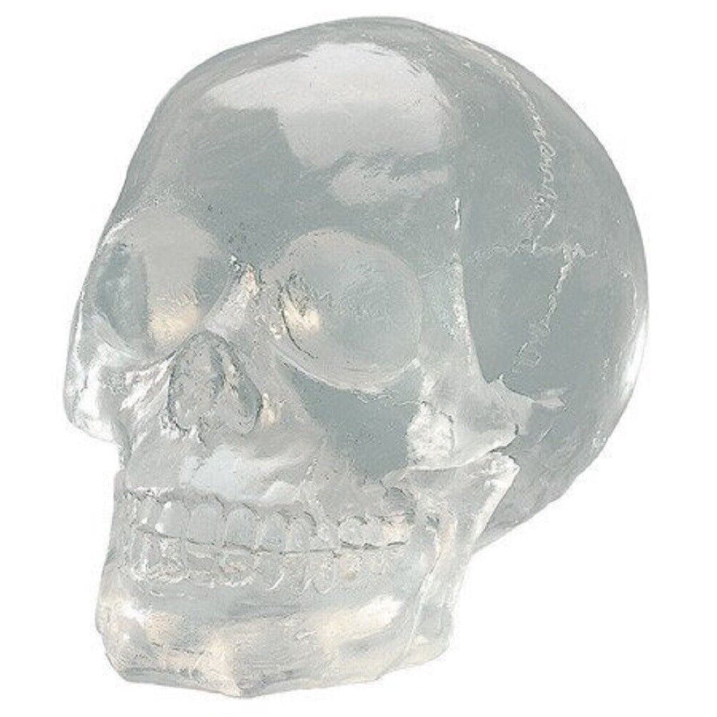 Clear Translucent Skull Collectible Figurine 4.5 inch