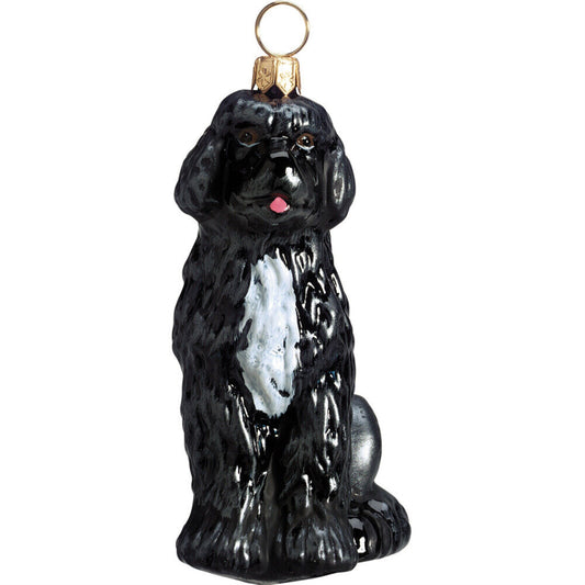 Joy to the World Portuguese Water Dog Sitting Blown Glass Polish Christmas Ornament Decoration