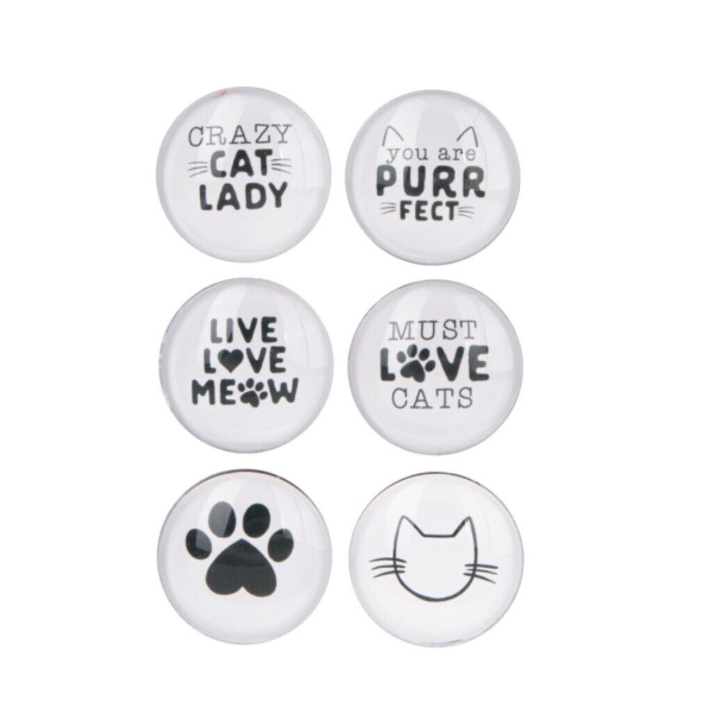 Ganz Cat Lover White Glass Magnets 6 Piece Set