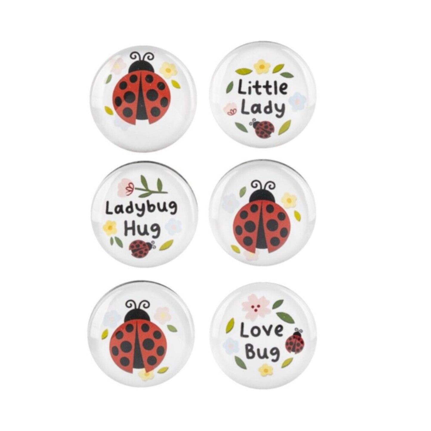 Ganz Ladybug and Text White Glass Magnets 6 Piece Set