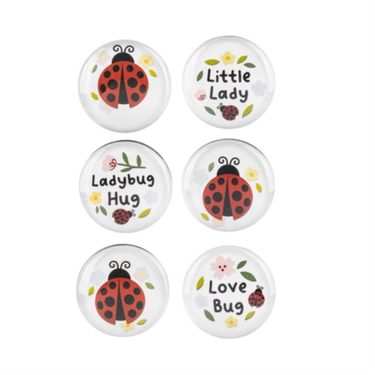 Ganz Ladybug and Text White Glass Magnets 6 Piece Set