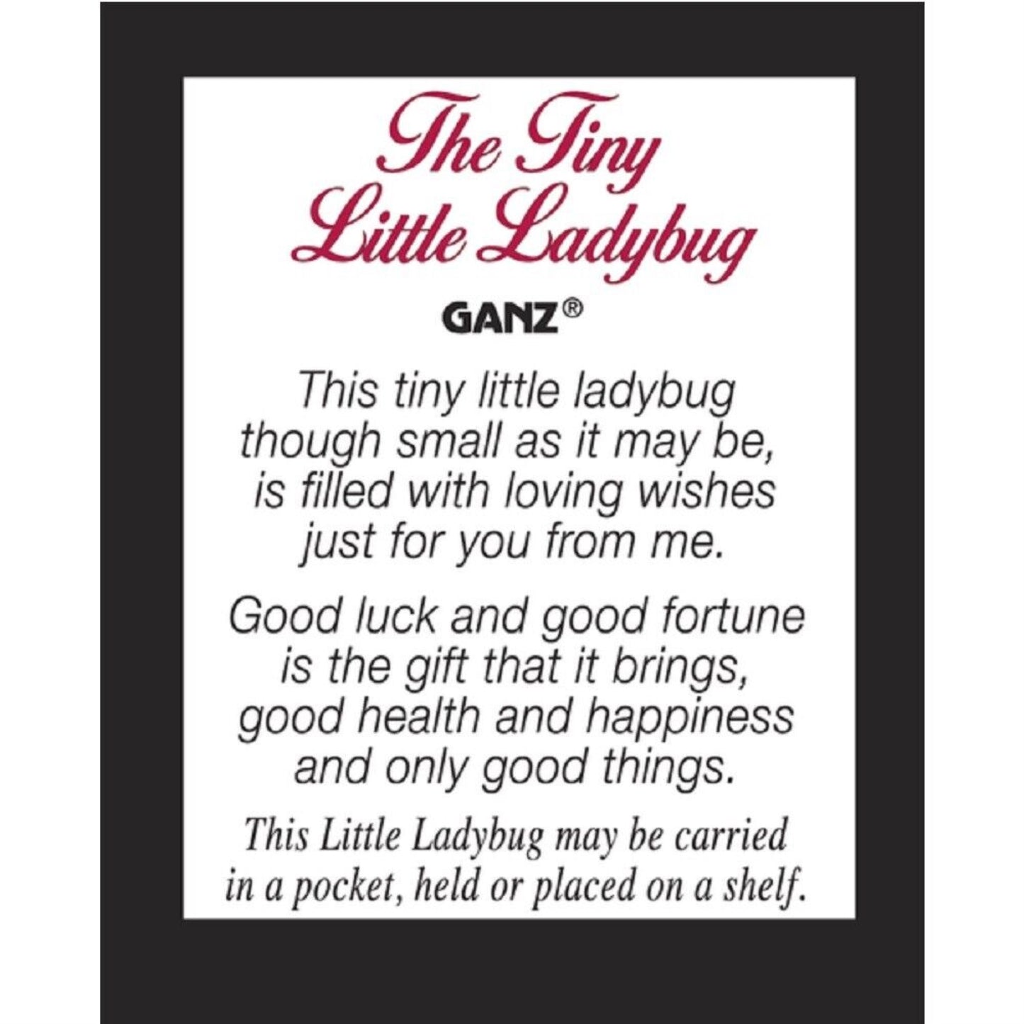 Tiny Little Ladybug Glass Charm with Story Card Pocket Token Miniature .5 inch