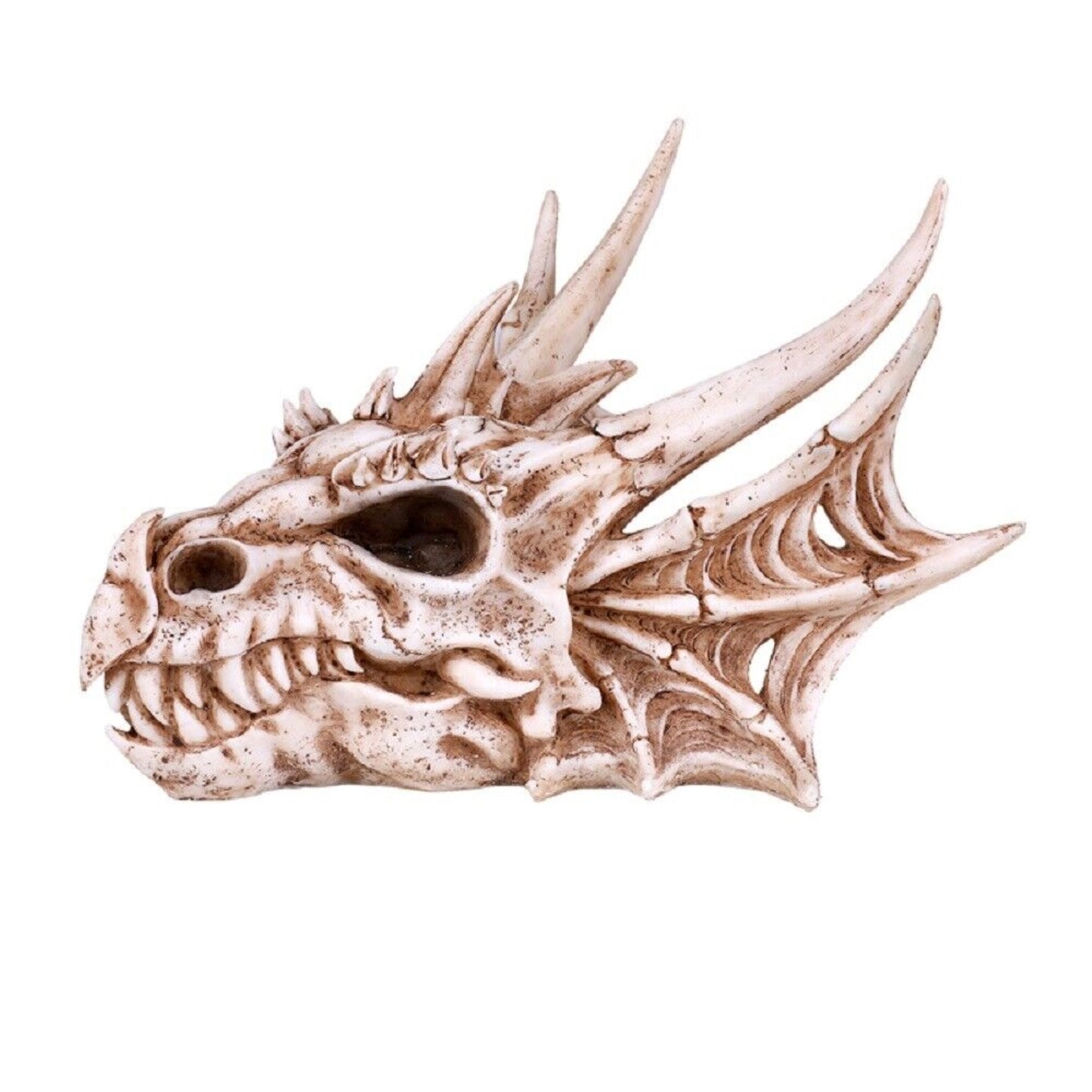 Dragon Skull Head Figurine 10 inch